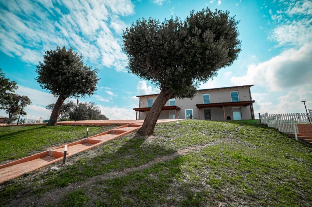 Agriturismo Il Colle Dei Lecci Ανκόνα Εξωτερικό φωτογραφία